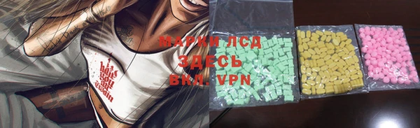 прущие грибы Липки