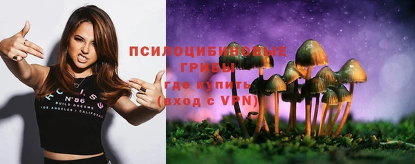 прущие грибы Липки