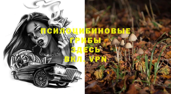 прущие грибы Липки