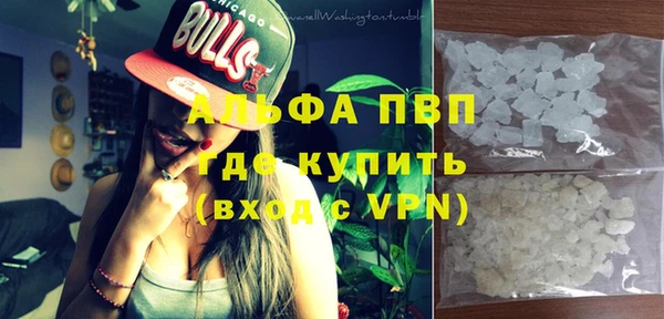 прущие грибы Липки