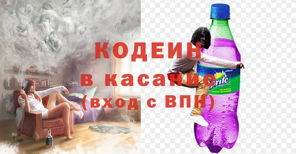 прущие грибы Липки