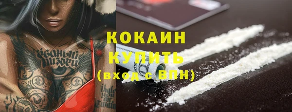 прущие грибы Липки