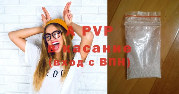 прущие грибы Липки